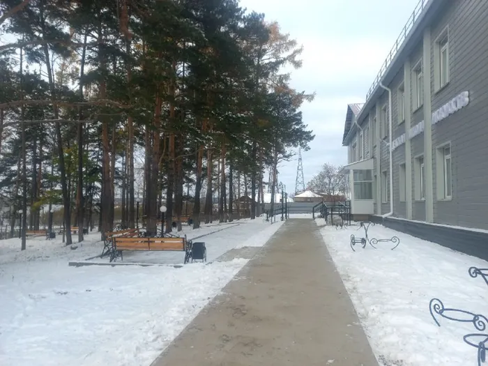 Без названия